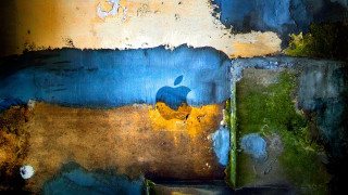 Peeling apple wall abstract ocean - paint free wallpaper for desktop