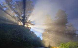 Foggy road matte painting crepuscular - crepuscular free wallpaper