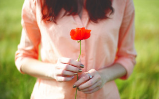 Woman red flower field pink - a ring free wallpaper