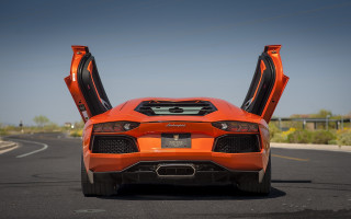 Bright orange sports car open 2 - orange sports car free wallpaper