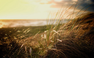 Grassy hill ocean view bright - a view of the ocean in the background free wallpaper