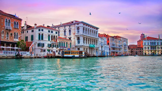 River bus city sky bird - a bus free wallpaper