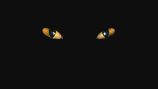 Glowing eyes cat dark background - black arts movement free wallpaper for desktop