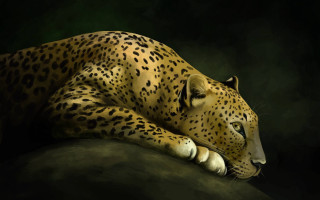 Leopard laying rock photorealistic digital - a digital painting free wallpaper for desktop