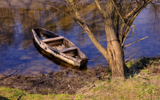 Small boat tree water edge - lightroom free wallpaper