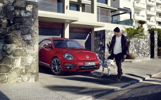Man dog red car street - a stone wall free wallpaper for desktop