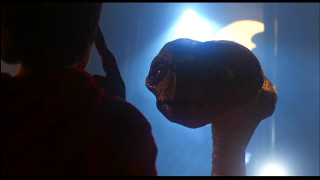 Person standing light stuffed animal - stuffed free wallpaper