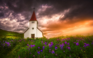 Church purple flower cloudy sunset - the top of the building free wallpaper