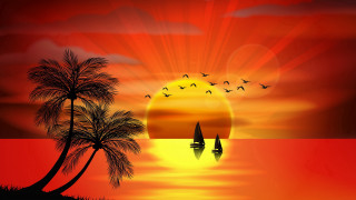 Sunset sailboat palm trees horizon - a sunset free wallpaper for desktop