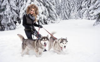 Woman dogs snow forest winter - in the wood free wallpaper for desktop