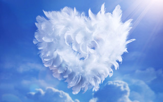 White feather floating sunny day - the background and sun free wallpaper