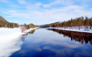 Snowy river forest bridge city - snow covered trees free wallpaper