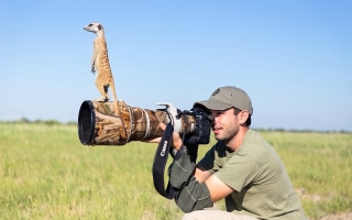 Man meerkat camera lens woodland - a len free wallpaper