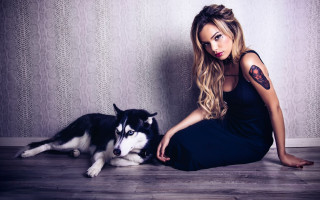 Gothic portrait blonde husky tattoo - husky free wallpaper
