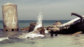 Driftwood ocean beach mountains sky - the ocean next free wallpaper