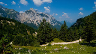 Lush forest hillside mountain clouds - hillside free wallpaper for desktop