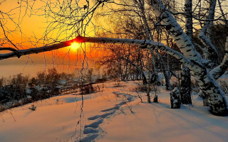 Sunset snowy forest path water - andrey ryabovichev free wallpaper