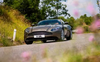 Car driving green field pink - promotional free wallpaper