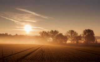 Field trees sun foggy sky - a foggy sky above free wallpaper