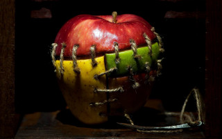 Fruit baseball surreal table arcimboldo - a surrealist sculpture free wallpaper