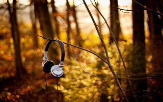 Headphones hanging tree forest autumn - autumn free wallpaper for desktop