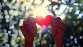Person holding heart shaped object - a person holding free wallpaper