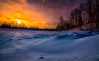 Sunset snowy field trees dark - bob thompson free wallpaper for desktop