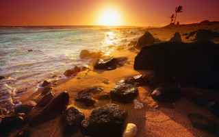 Beach rocks water sunset palm - rock and water free wallpaper for desktop