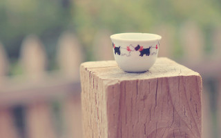 Small cup wooden post fence - a wooden post free wallpaper