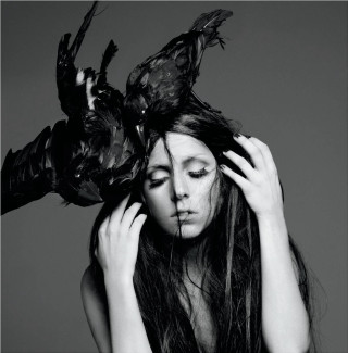 Woman bird head hands on - her head and a bird free wallpaper