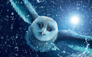 Bird wings waterdroplets brightlight photorealism - weta digital free wallpaper for desktop