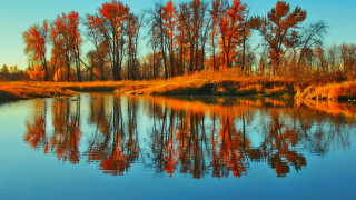 River trees grass blue sky - a few cloud free wallpaper for desktop