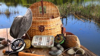 Fishing basket boat lake reeds - a fishing rod free wallpaper