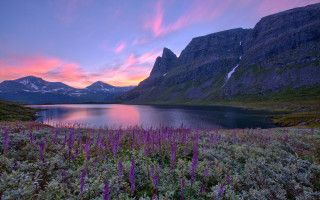 Sunset mountain lake purple flowers - a beautiful sunset over a mountain lake free wallpaper