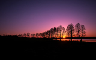Sunset trees water purple sky - tree and water free wallpaper