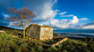 Hill tree building city clouds - free landscape wallpaper
