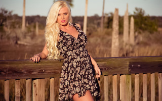 Woman dress fence blonde posing - elaine duillo free wallpaper for desktop