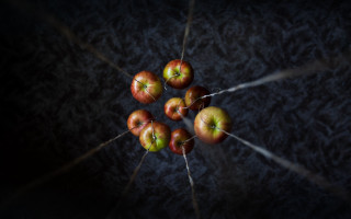 Apples table dark stick macro - photography free wallpaper