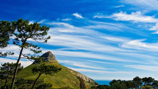 Mountain tree blue sky clouds - breyten breytenbach free wallpaper