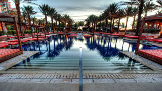 Large pool red benches palm - eric zener free wallpaper for desktop