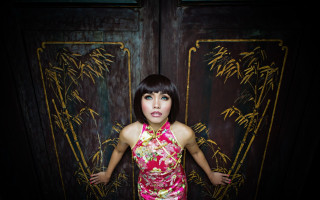 Pink dress bamboo door portrait - a door free wallpaper for desktop