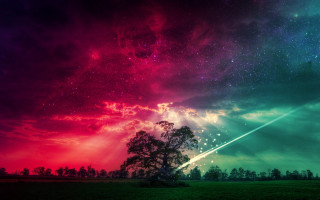 Colorful sky tree shooting star - shooting free wallpaper