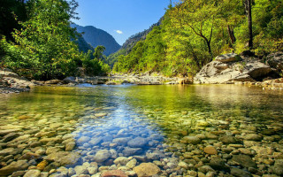 River rocks trees blue sky - rock and trees free wallpaper