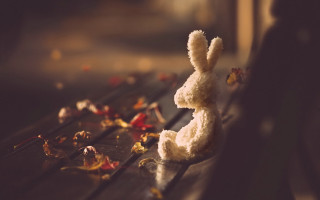 Stuffed animal bench leaves flowers - a wooden bench next free wallpaper