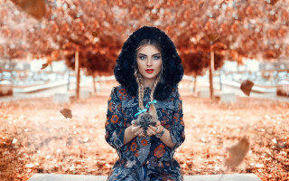 Woman cat bench park autumn - autumn free wallpaper for desktop