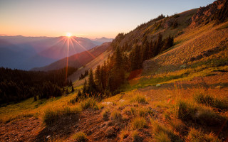Sunset mountain grassy trees horizon - a mountain range in the distance free wallpaper