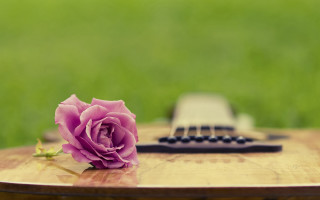 Blue rose wooden table guitar - a rose free wallpaper