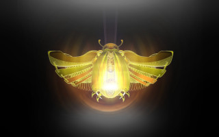Yellow light bird holography bioluminescence - bioluminescence free wallpaper