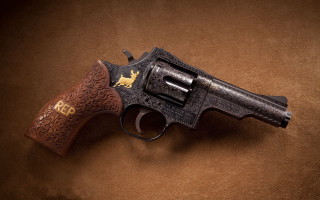 Gun golden dog brown background - a stipple free wallpaper