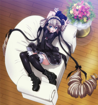 Woman chair cat vase flowers - a chair free wallpaper for tablet